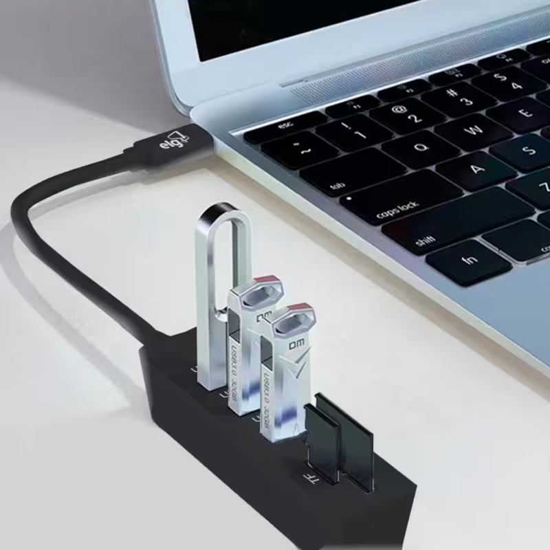Miniatura