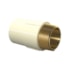 Aquatherm Conector 54mmx 2" Tigre