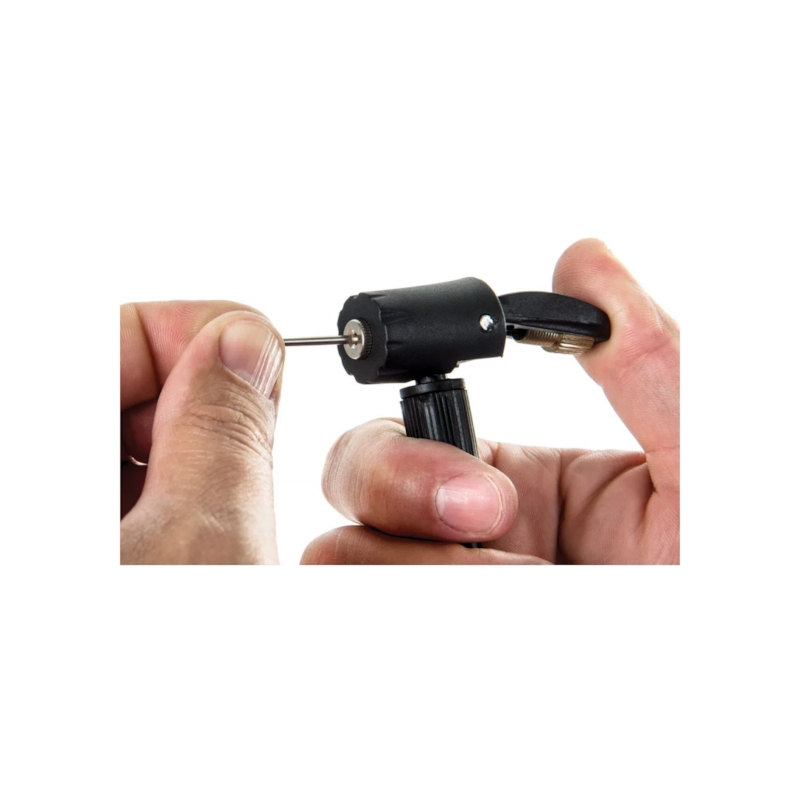 Miniatura