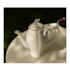 Bule de Porcelana Butterfly Flower 1,27L Lyor