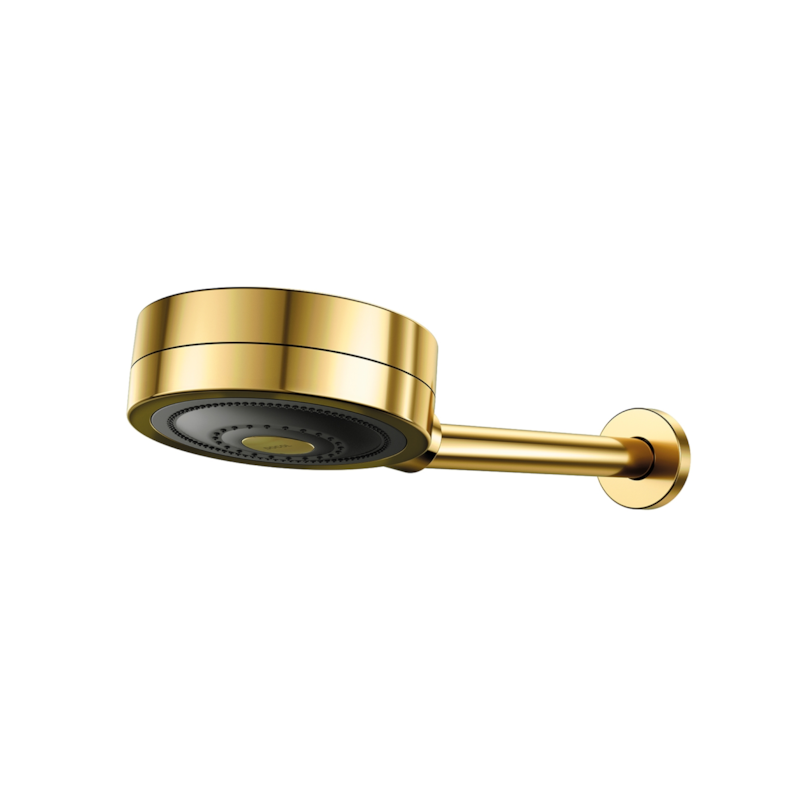 Chuveiro Technoshower Ouro Polido Docol
