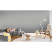 Efeitos Especiais Decora Cimento Queimado Tubarão Branco 4,8Kg Coral