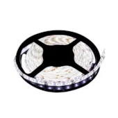 Fita LED 42W 5 Metros 6500K 12V Nitrolux
