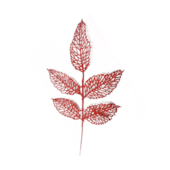 Galho Decorativo Vermelho Cromus 