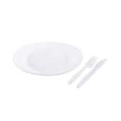 Kit para Churrasco Descartável 10 Unidades Branco Prafesta