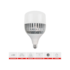 Lâmpada de LED Bulbo 100W 6500K E27 Avant