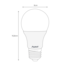 Lâmpada LED Bulbo 9W 6500K Avant