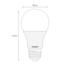 Lâmpada LED Bulbo 9W 6500K BR810-B Avant