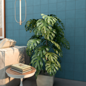 Piso 20x20cm Tipo A Aurora Pierini - 1,40m²