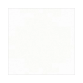Piso 52,5x52,5cm Tipo A Itaunas Branco Brilhante Elizabeth - 2,76m²