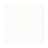 Piso 52,5x52,5cm Tipo A Itaunas Branco Esmaltado Brilhante Elizabeth - 2,76m²