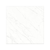 Porcelanato 120x120cm Tipo A LM Alpe Mate Roca - 2,85m²
