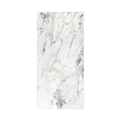 Porcelanato 120X250cm Tipo A Breccia Capraia Roca