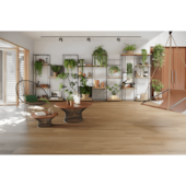 Porcelanato 20x120cm Tipo A Arbo Natural Biancogres - 1,70m²