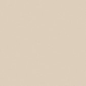 Porcelanato 56x56 Tipo A PHD56480R Brilhante Alamanda InOut 2,20m² Porcelanato 56x56 Tipo A PHD56480R Brilhante Alamanda InOut 2,20m²