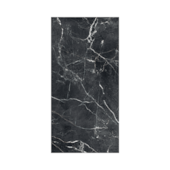 Porcelanato 60x120 cm Tipo A Venato Black MC Retificado Roca - 2,13m²