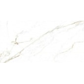 Porcelanato 60x120 Tipo A Calacatta Branco Polido Decor - 1.44m²