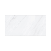 Porcelanato 60x120cm Tipo A Frozen Lux Polido Biancogres - 2,20m²