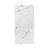 Porcelanato 60x120cm Tipo A Place Polido Eliane - 1,44m²