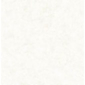 Porcelanato 60x60 Tipo A Sensation Snow Retificado Biancogres 2,15m²