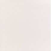 Porcelanato 62,5x62,5 Tipo C Bianco Natural Escuro Elizabeth - 1.97m² 