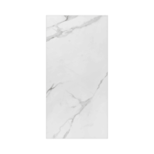 Porcelanato Tipo A 60x120cm Slim Place Polido Eliane - 2,16m²