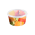 Pote com Lacre Redondo 500ml 10un- Prafesta
