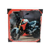 Quadro 20x20cm Metal Motos Nova Aliança (Modelos Sortidos)