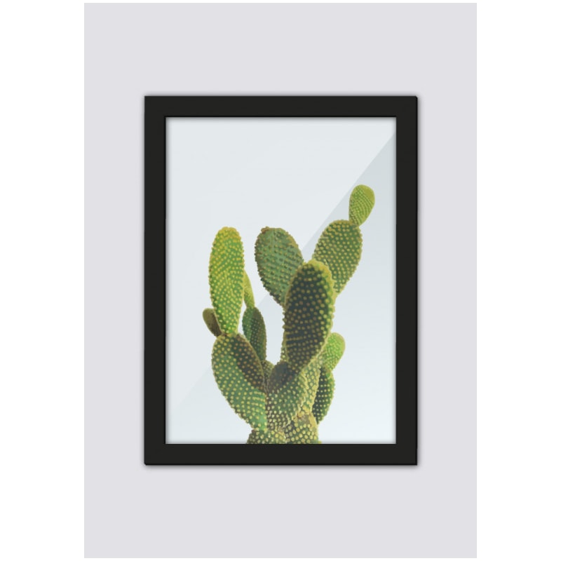 Quadro Cactus A4 Preta 1849 Los Quadros