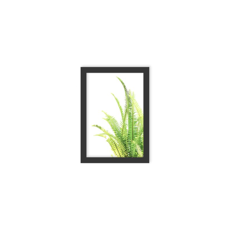 Quadro Decorativo Folha Verde 2 45x33cm Los Quadro