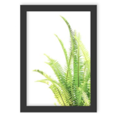 Quadro Decorativo Folha Verde 2 45x33cm Los Quadro Quadro Decorativo Folha Verde 2 45x33cm Los Quadro
