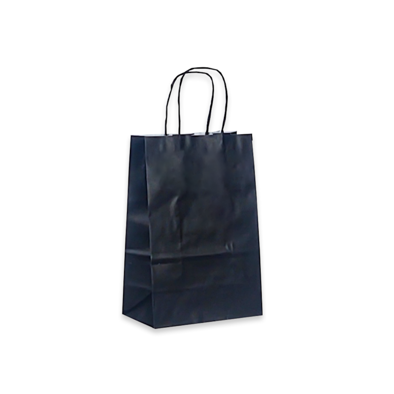 Sacola Papel Laminada Fosco 22x15x8cm Sortido Cromus