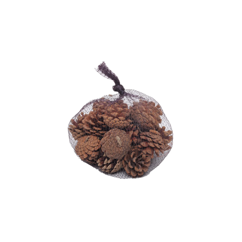 Saquinho de Pinhas Decorativas Marrom Cromus