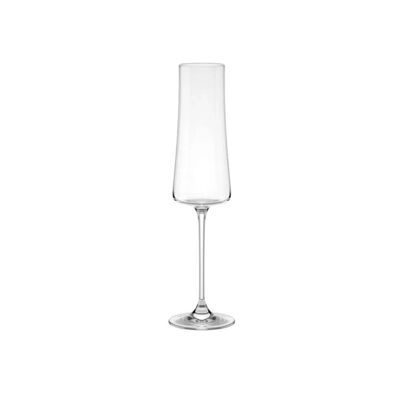 Taça para Espumante 210ml Pleasure 56413/100 Brinox