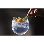 Taça para Gin Tônica Fizzy 600ml Haus