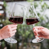 Taça para Vinho Tinto 460ml Pleasure 56413/101 Haus