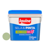 Tinta Sela e Pinta Kiwi 3,6L Iquine