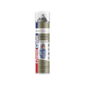 Verniz Spray Uso Geral Brilhante 400ml Chemicolor